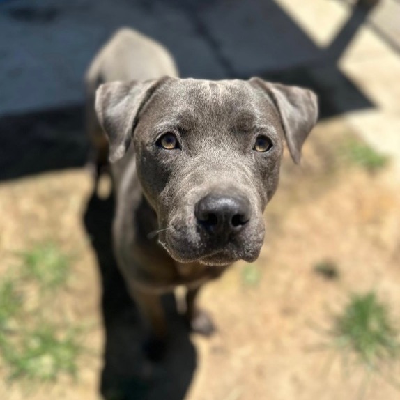 Freckles AKA Perry