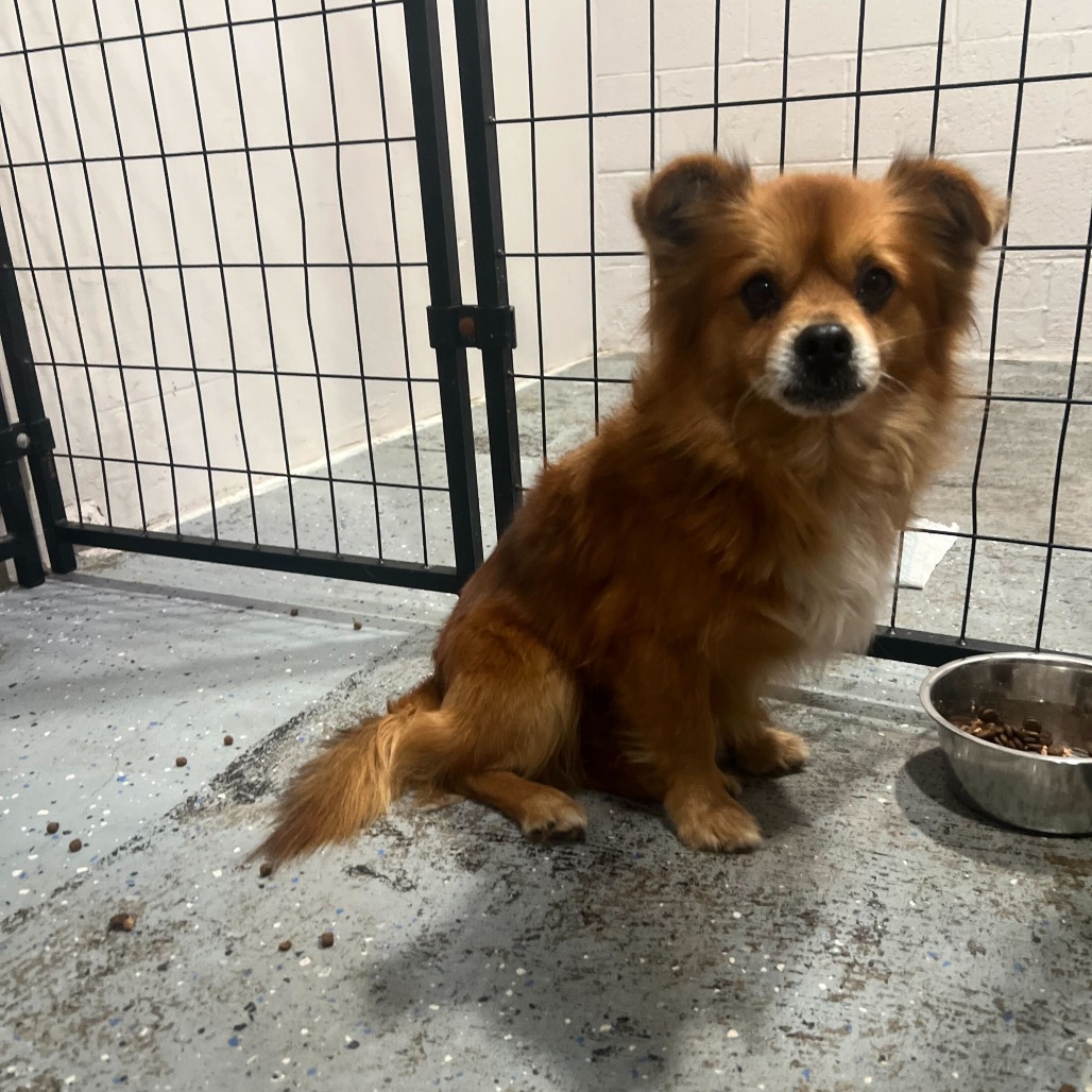 Folsom — thumbnail 2