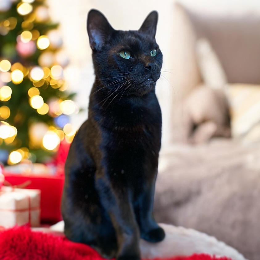 Winslow — thumbnail 5