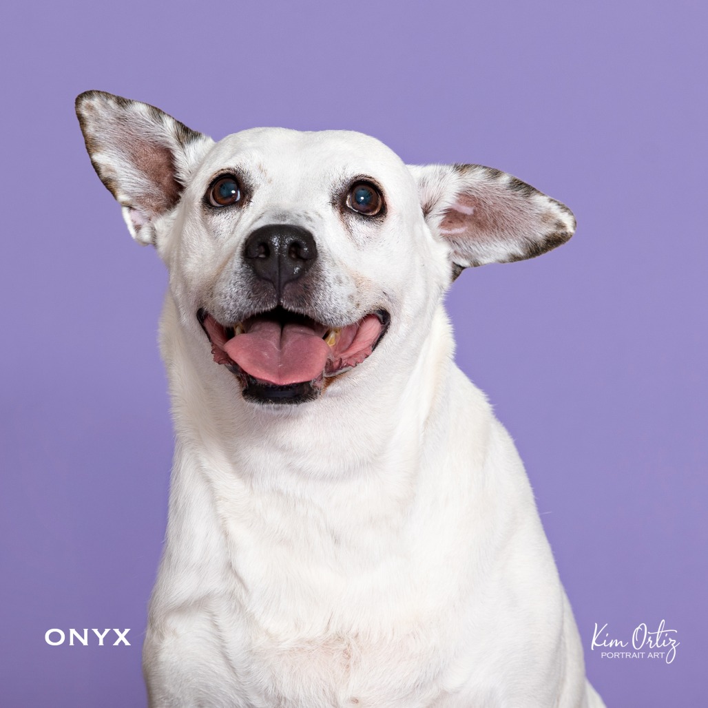 ONYX