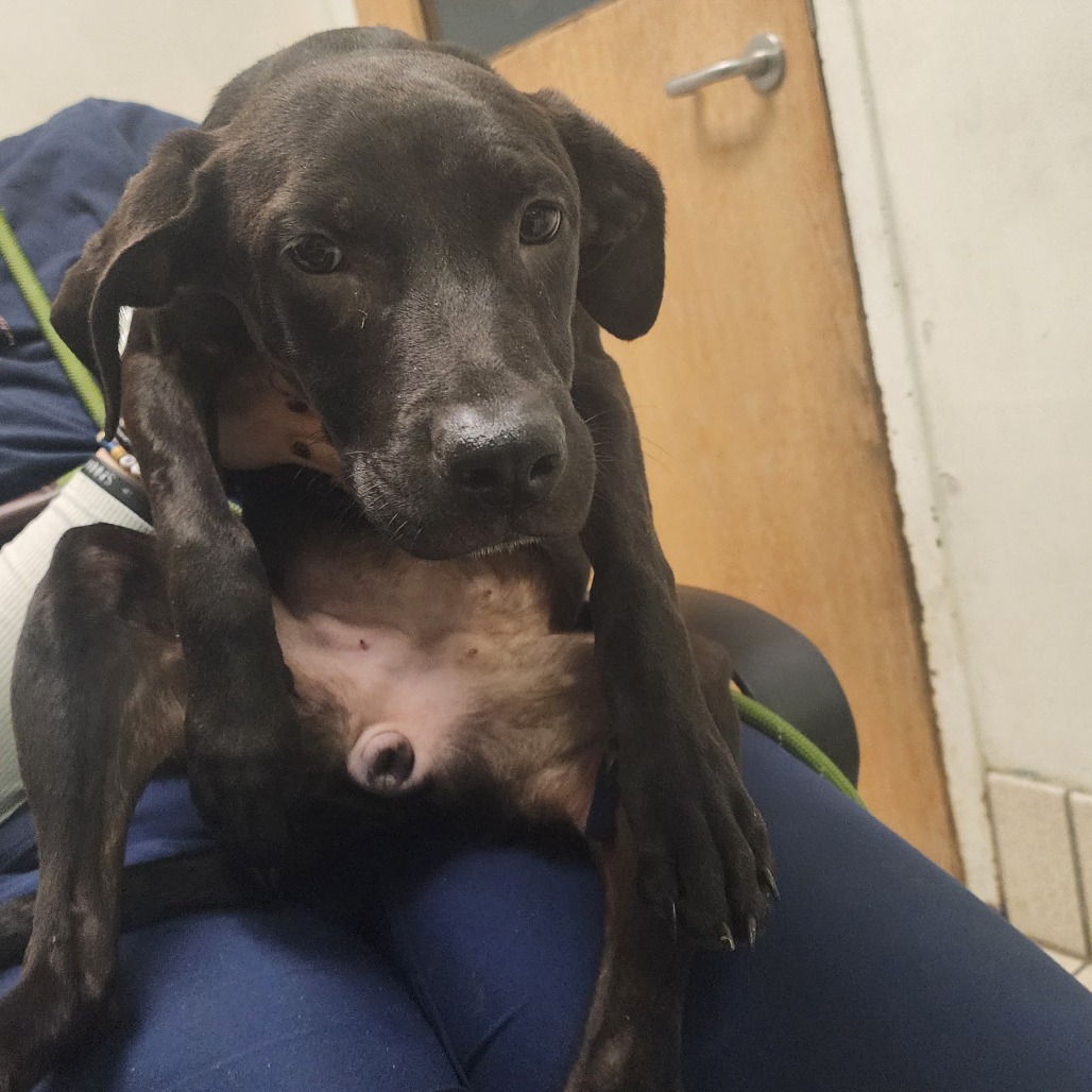 Cuddly — thumbnail 2