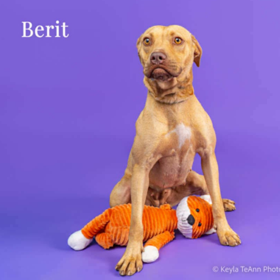 Berit