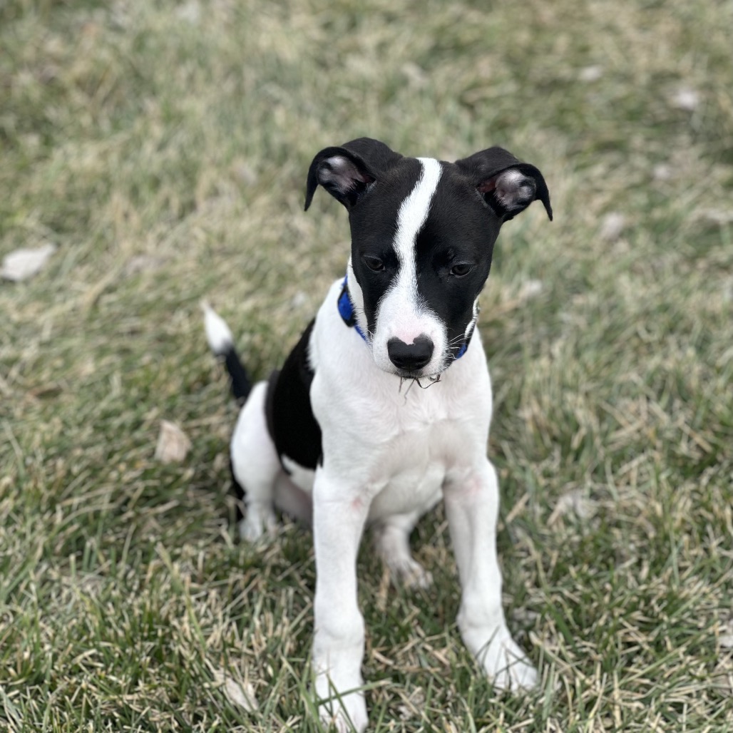 Lightning — thumbnail 5