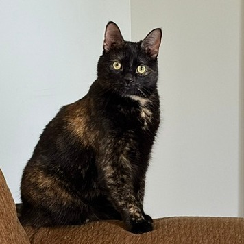 Margo