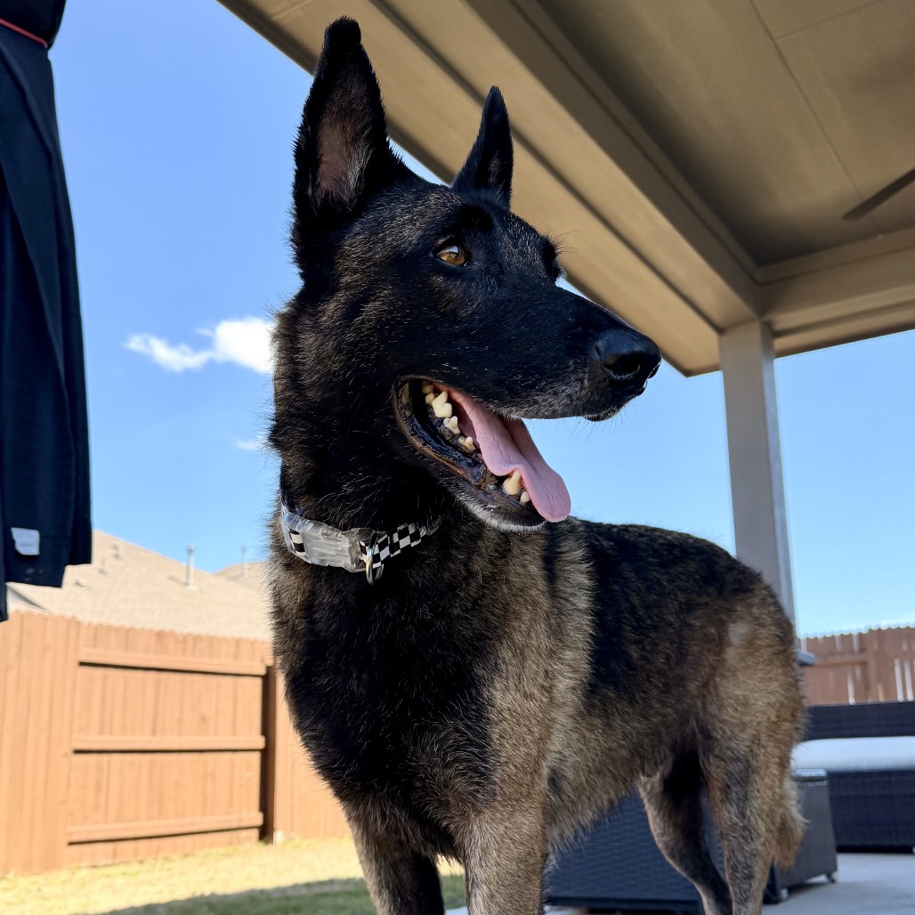 SAMMY