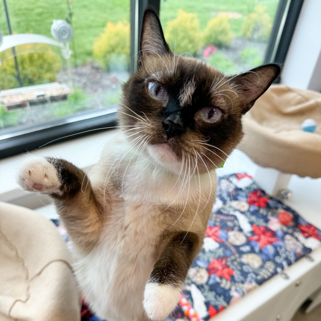 Rosie