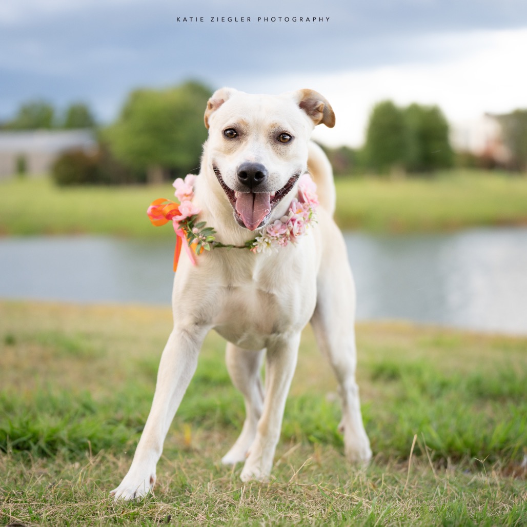 Pearl, photo 5