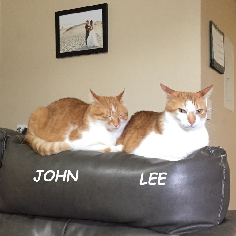John & Lee (Courtesy Listing) — thumbnail 2