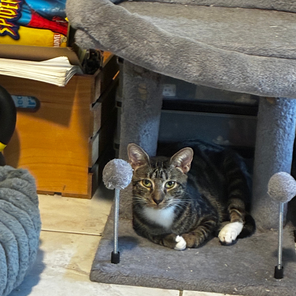 Matilda, photo 2