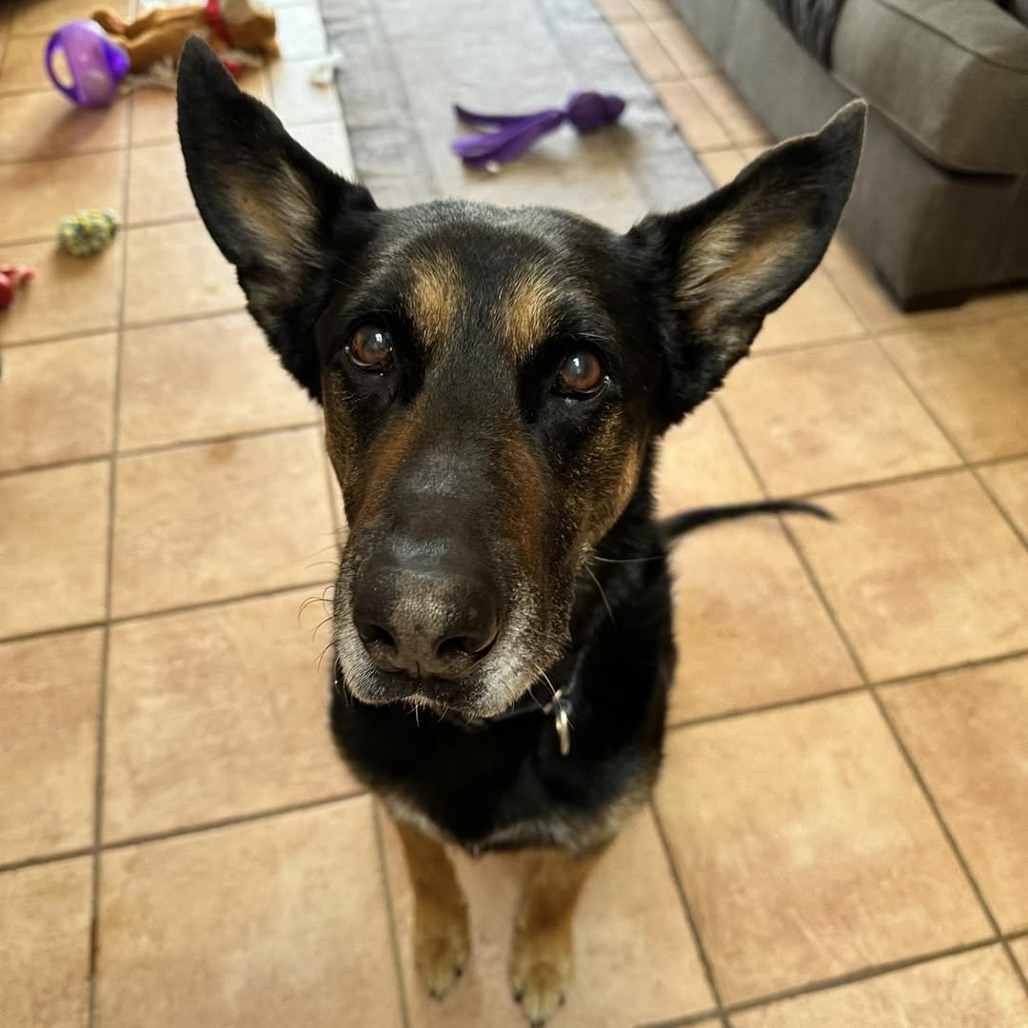 Pharaoh, photo 22