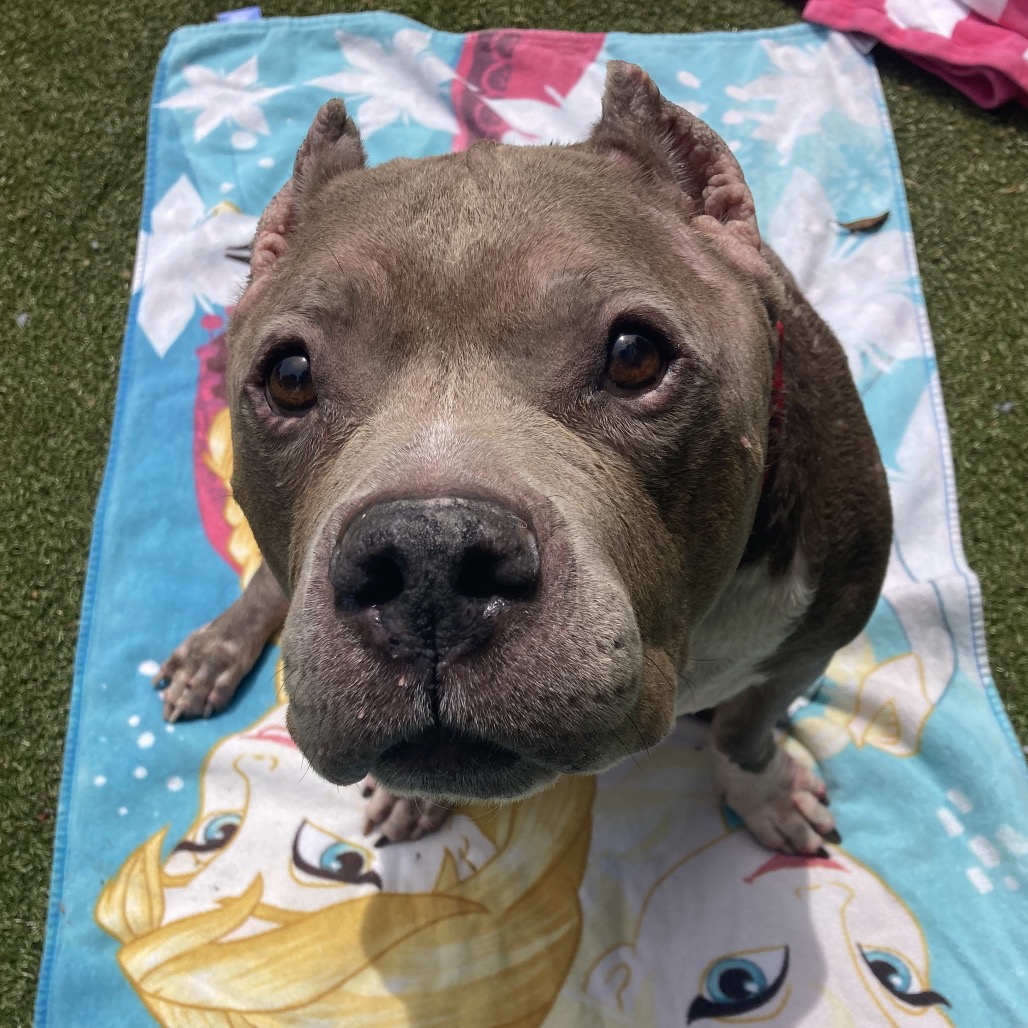 Zeus, additional photo