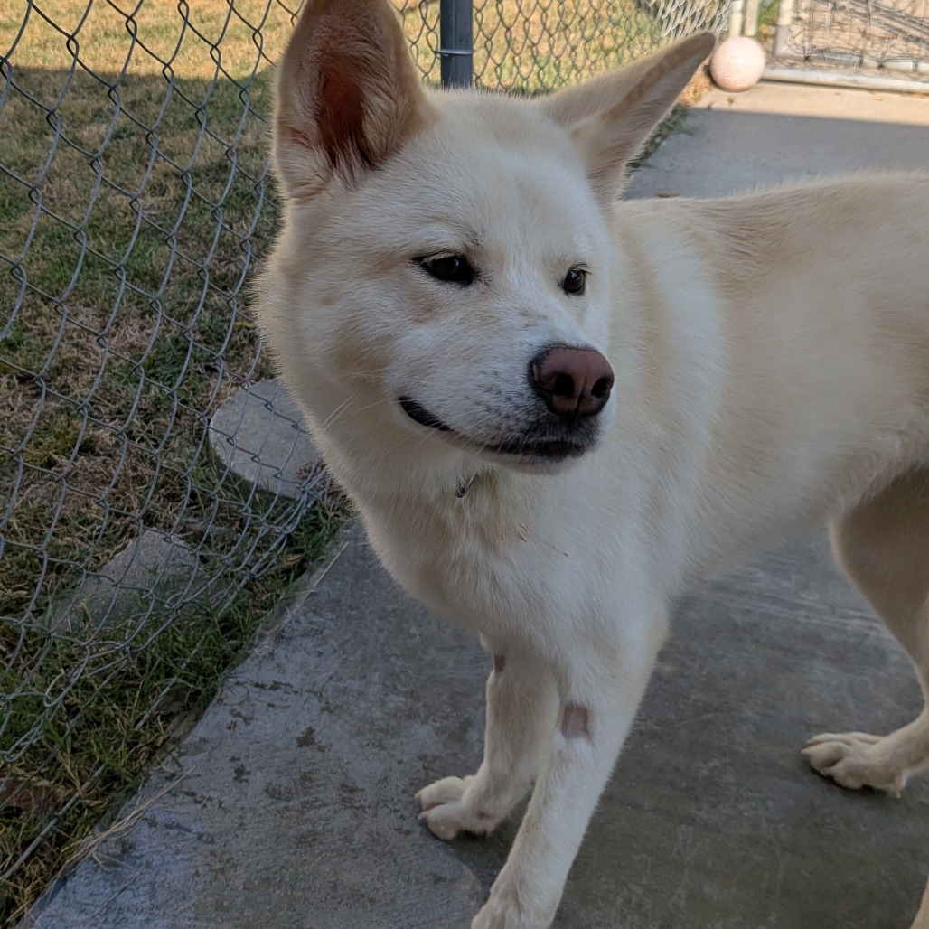 Maggie photo 6
