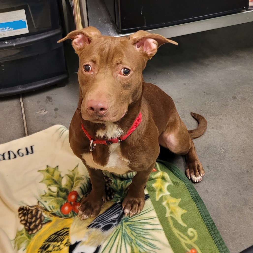 Photo of Starcraft 6