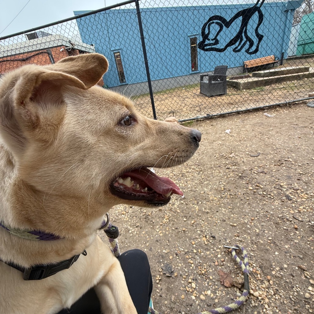 Honey — thumbnail 5