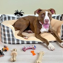 Photo of Lisa Marie