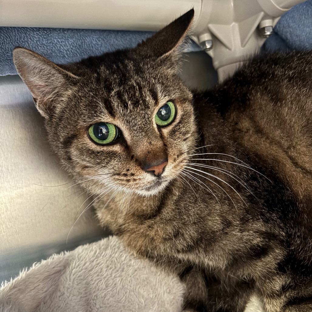 24b4c8a67058757c5e3846e3b11806a6