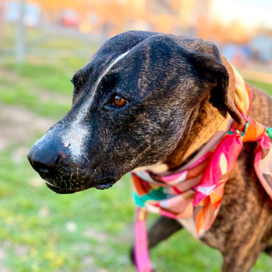 Cookie Cuddles — thumbnail 10