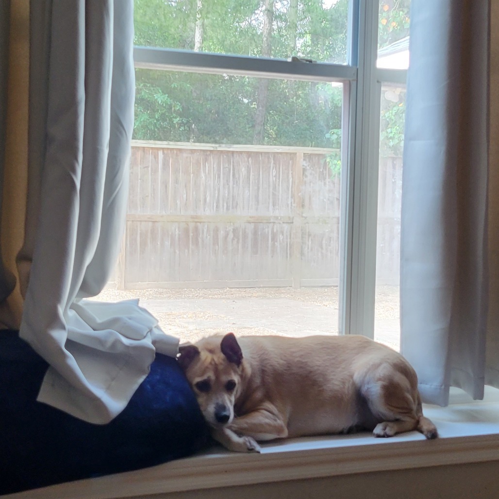 Chloe, photo 6
