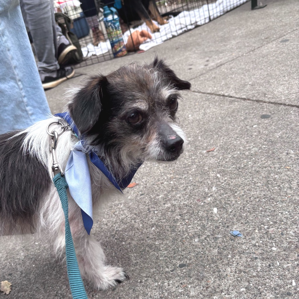 Kira — thumbnail 2