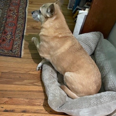 Jacey (I Have a Secret Crush!), additional photo