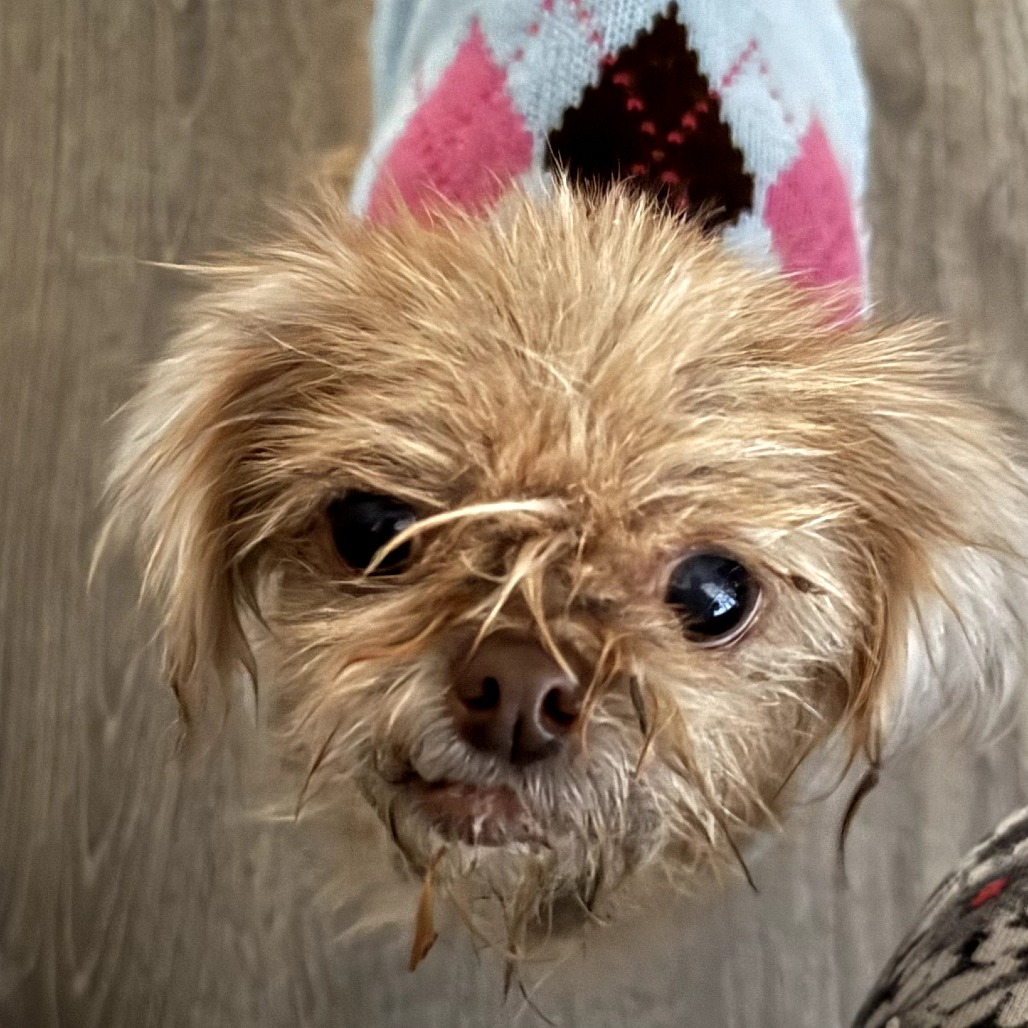 Jayna — thumbnail 3