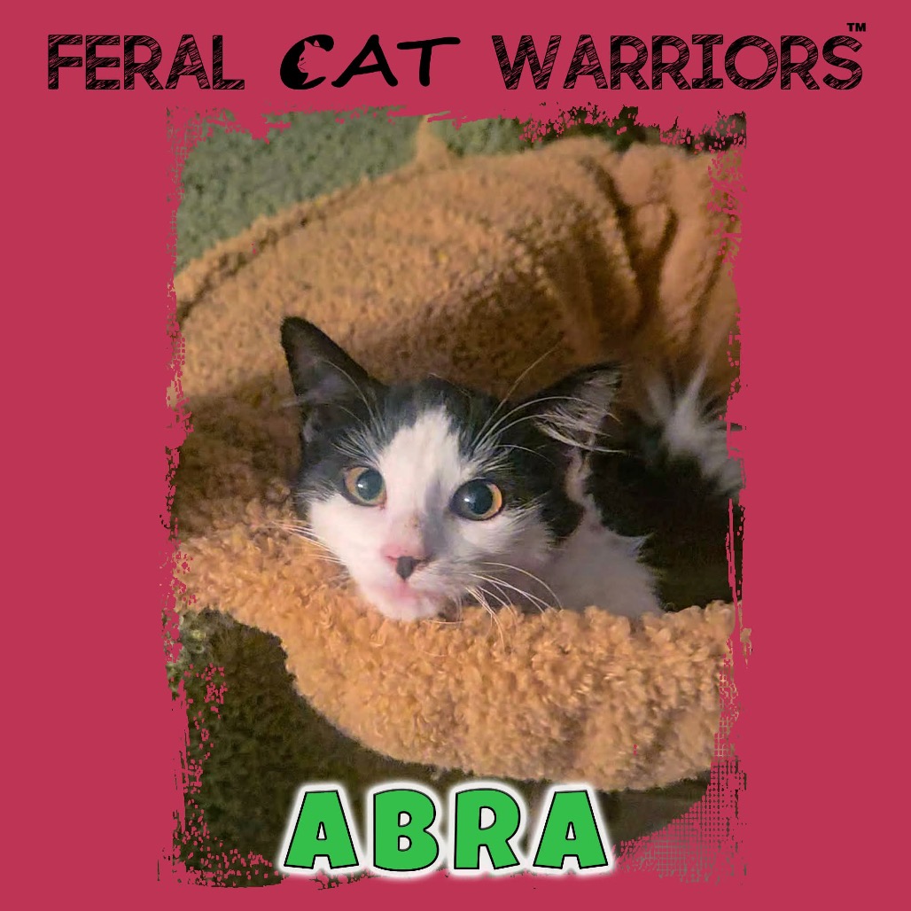 Abra
