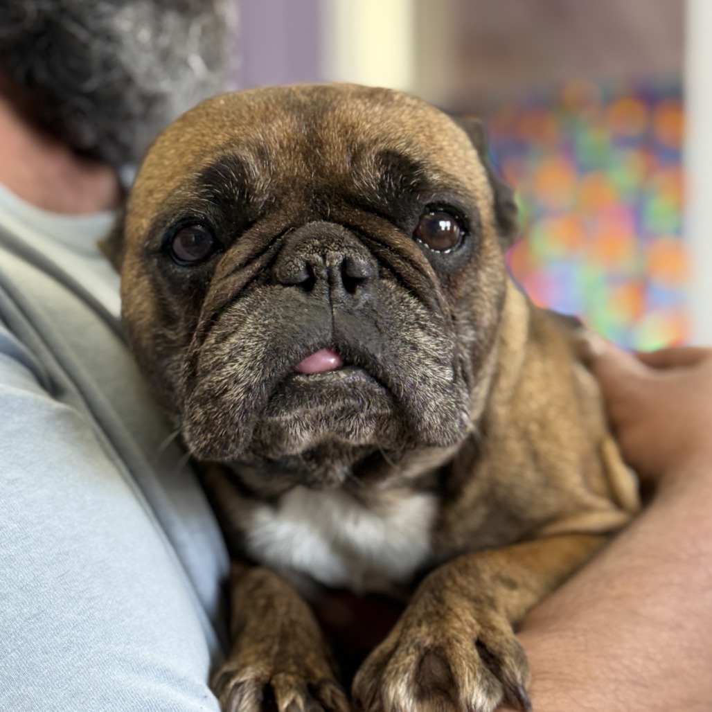 Ethel — thumbnail 3