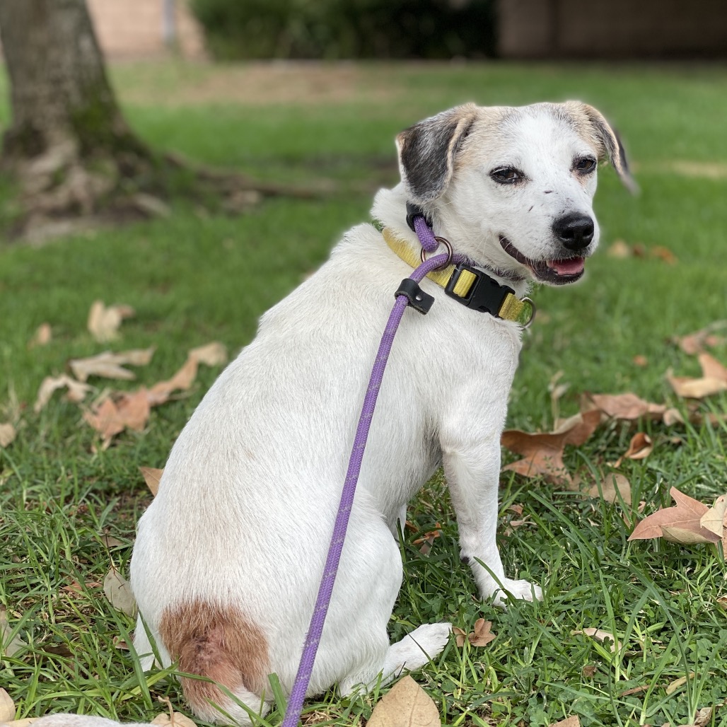 Rory- Costa Mesa Location, photo 12