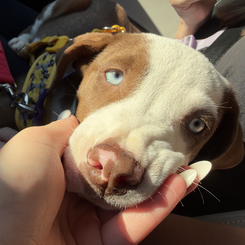 SLEEPY, photo 14
