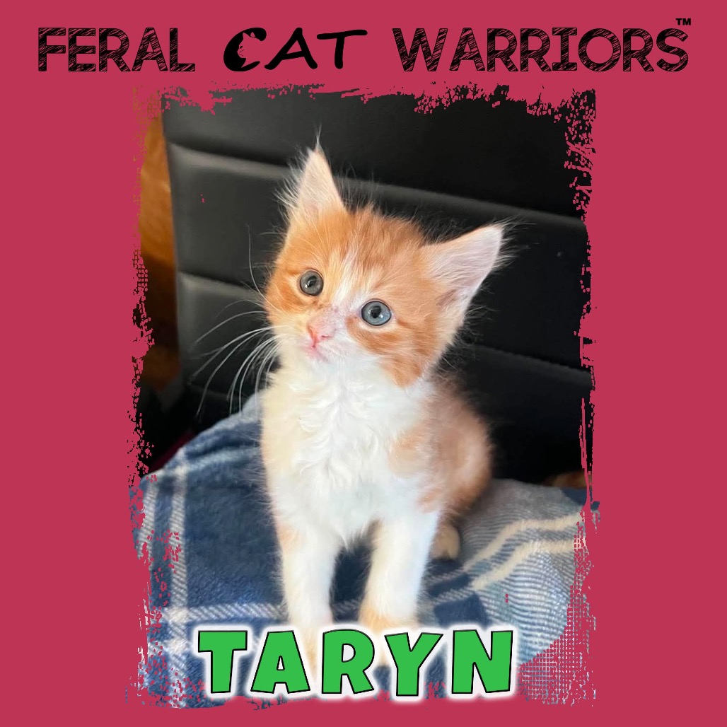 Taryn