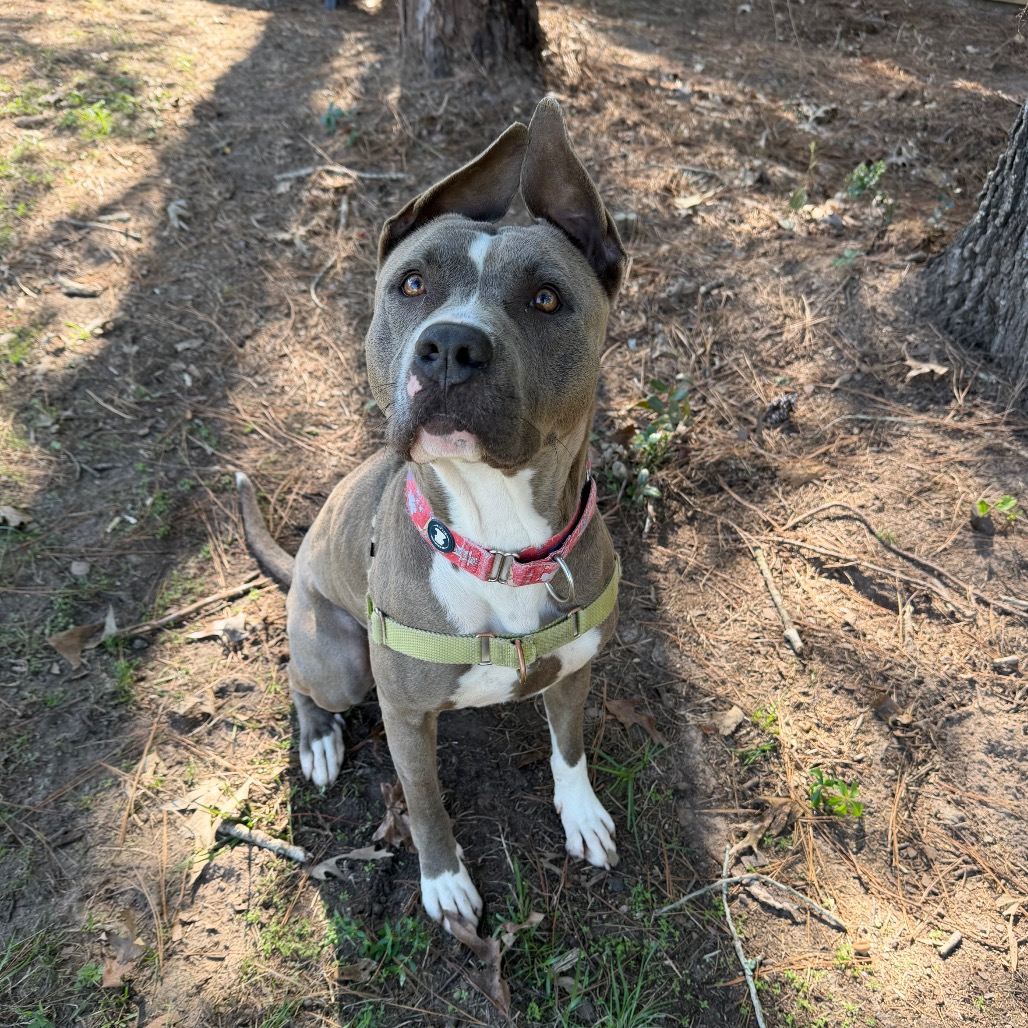 Hondo, photo 20