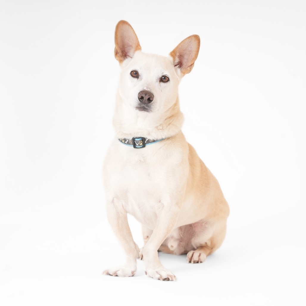 Ferrari 13879 — thumbnail 4