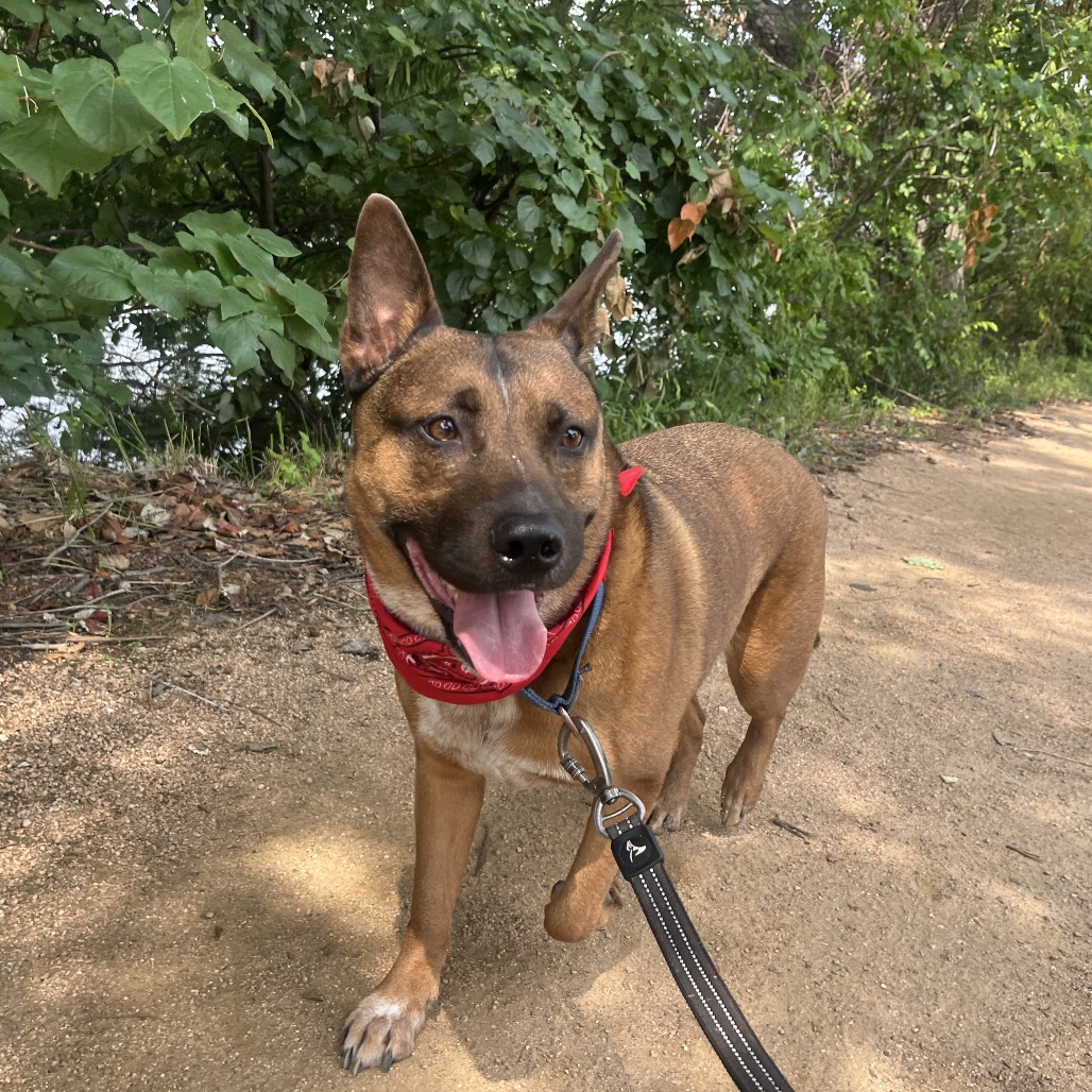 Muddy, additional photo