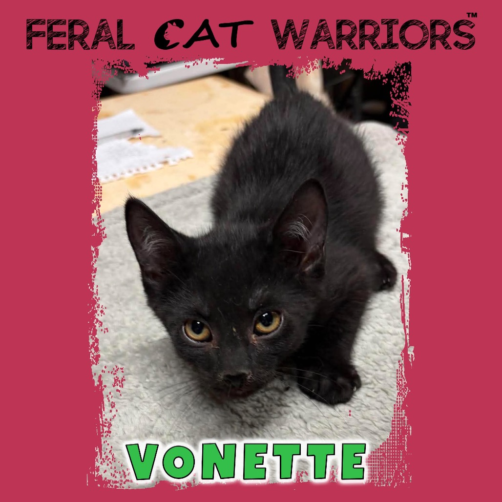 Vonette