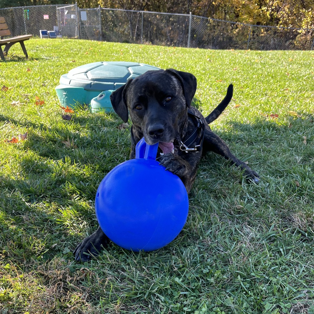 Earl, photo 34