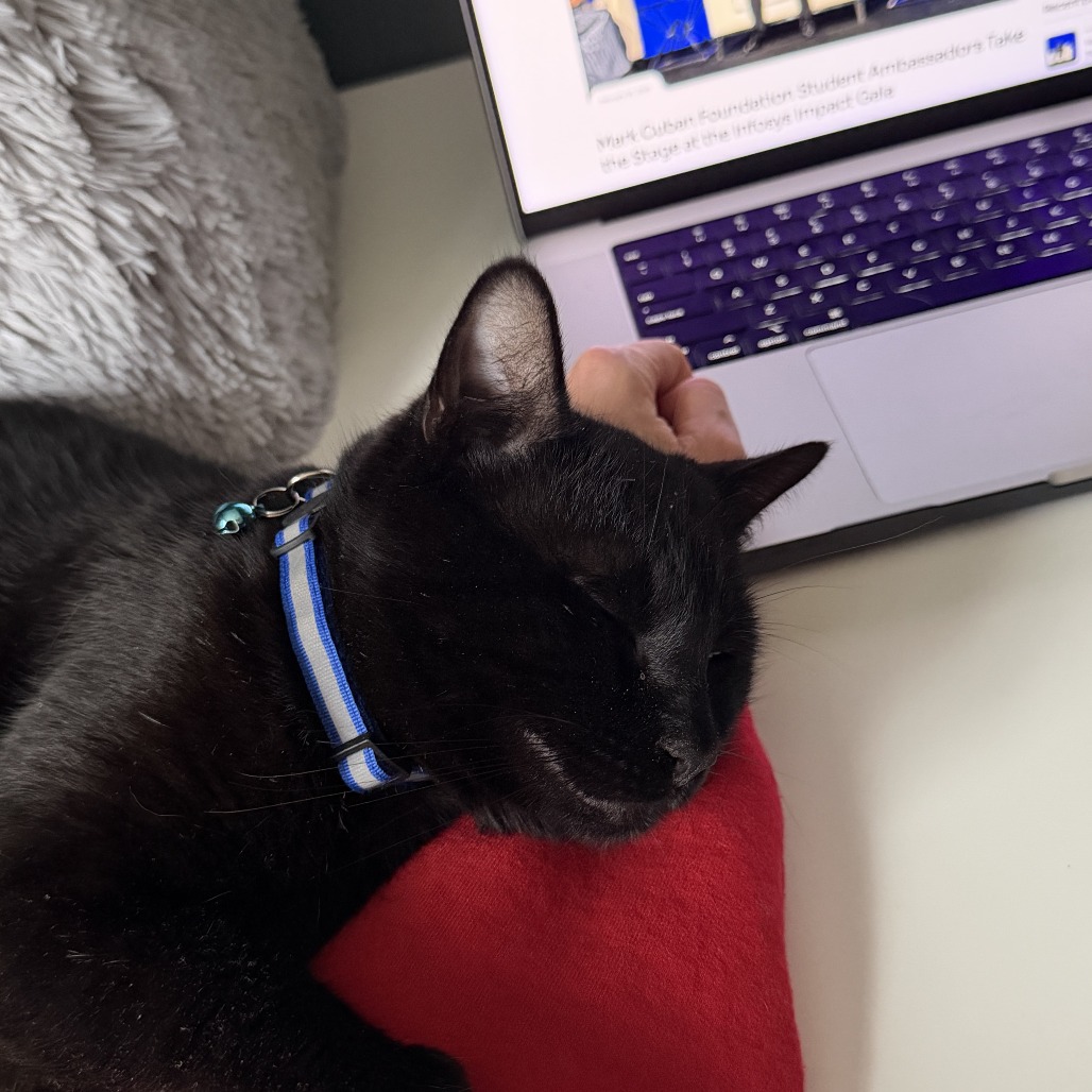 Haiku — thumbnail 4