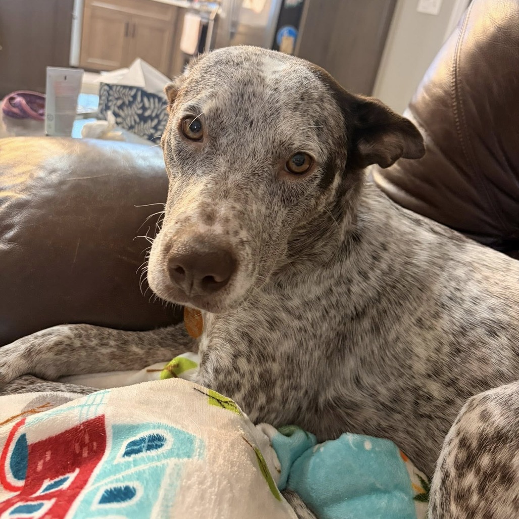 Maggie O'Hooligan/Mom 