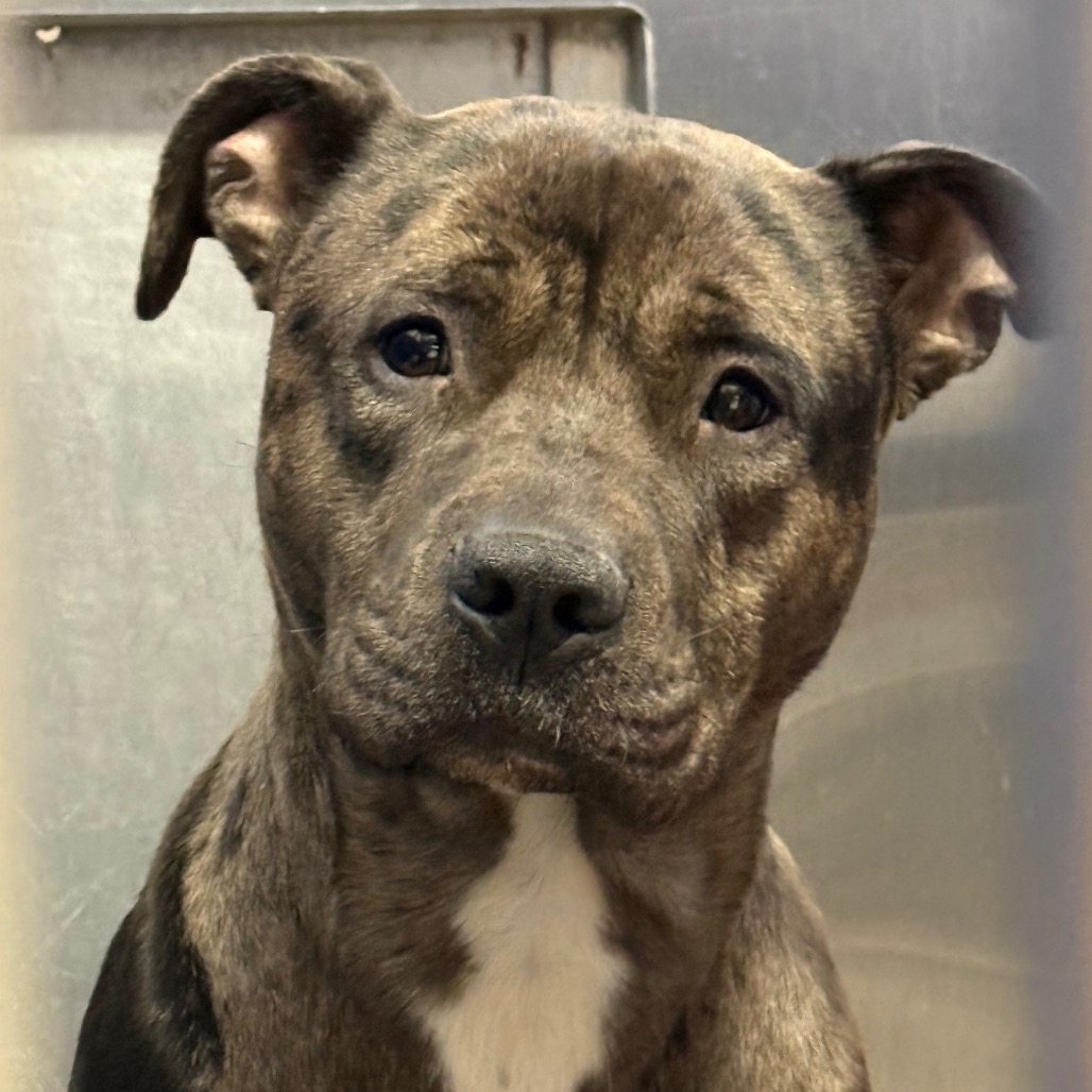 9f5b3e1969011f0a5babbac23cd705b0