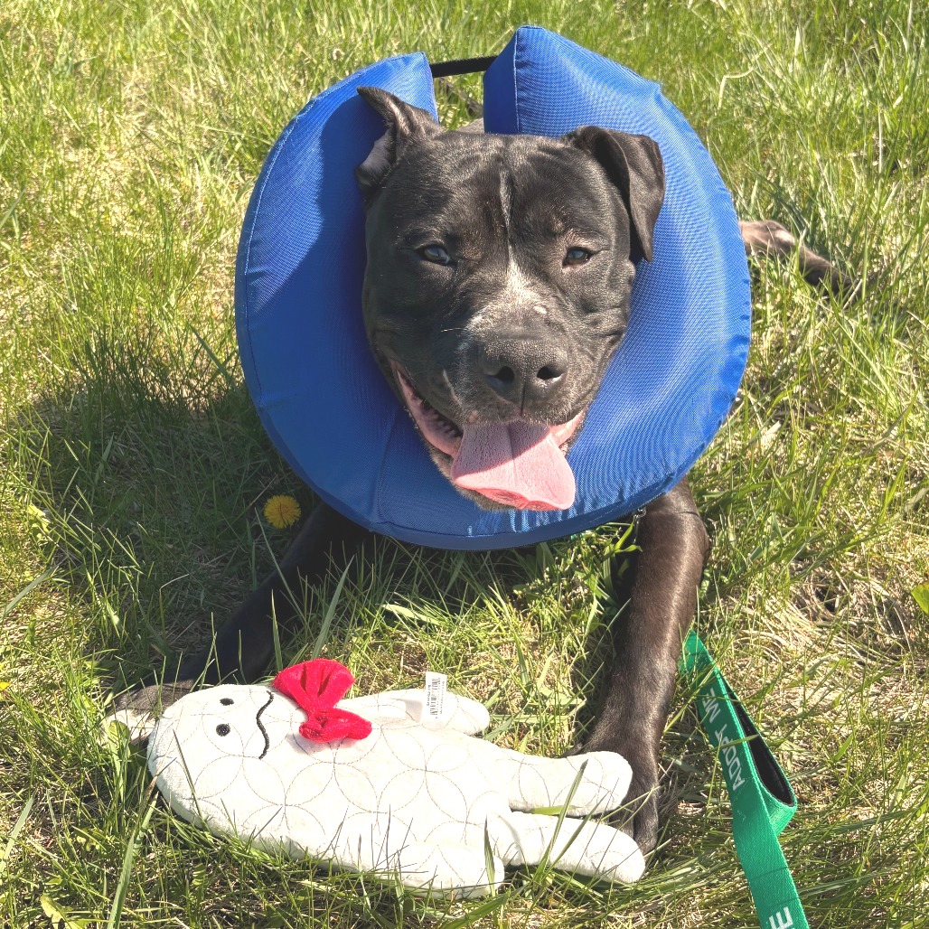 b8c8c5a6502448fbef72e088343f5125