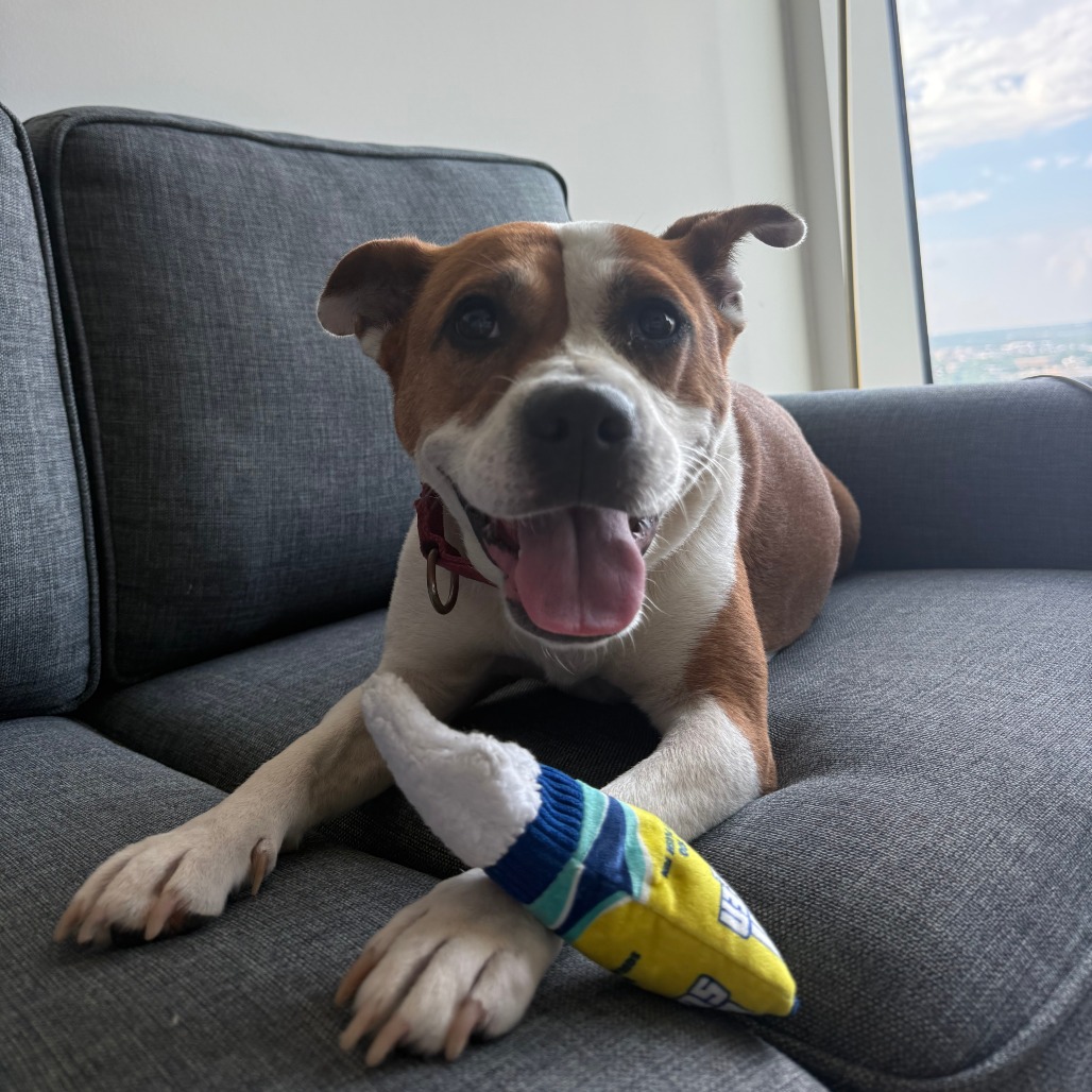 Daisy, additional photo