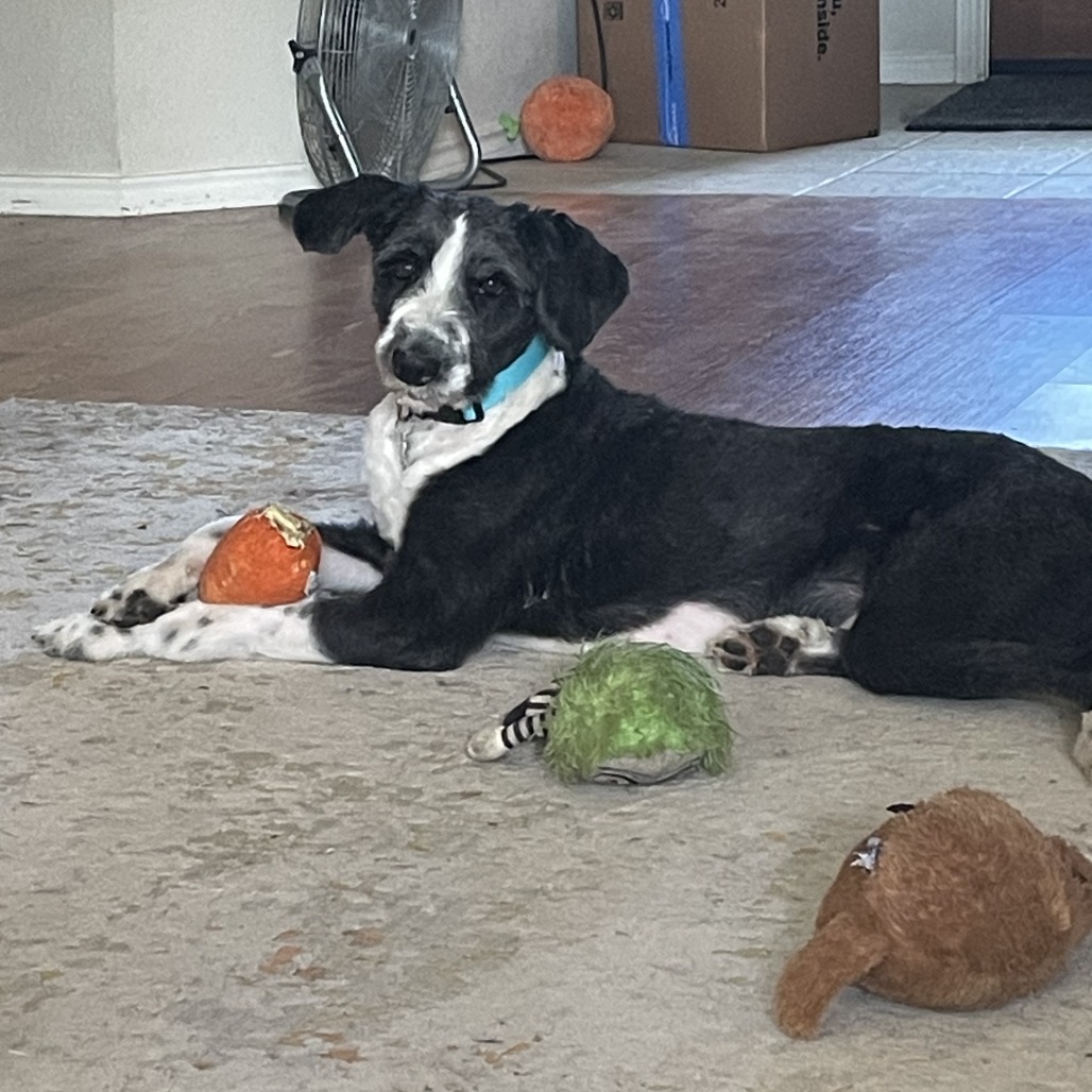 Photo of Tuff