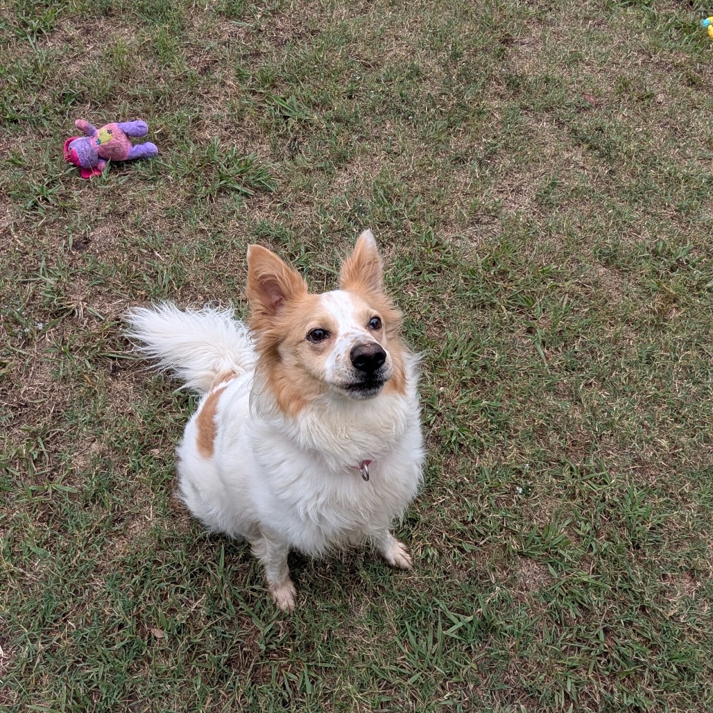 Sandy photo 15