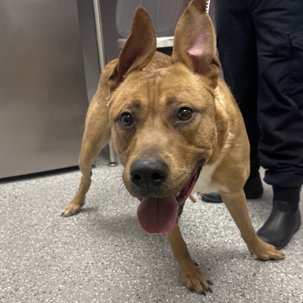 Zeus — thumbnail 2