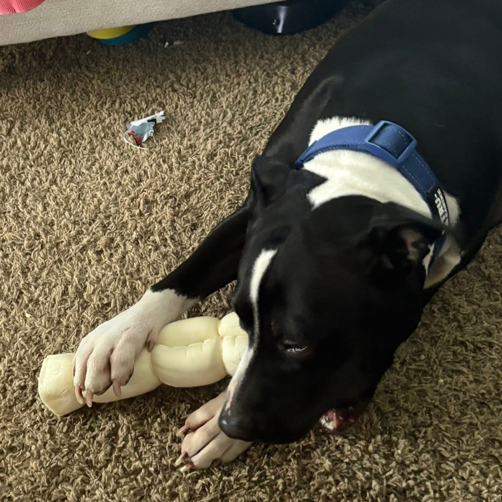 Photo of General Tso 87