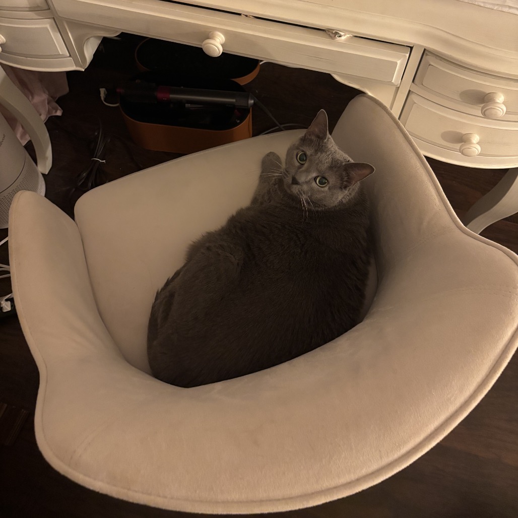 Aggie, photo 10