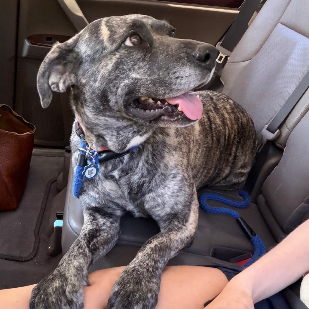 Daisy Duke (Formerly Phoebe), photo 18