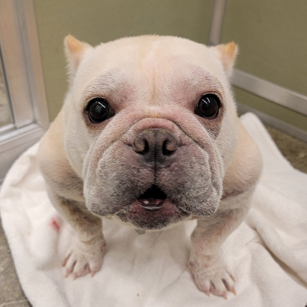 Sassy Pants — thumbnail 3