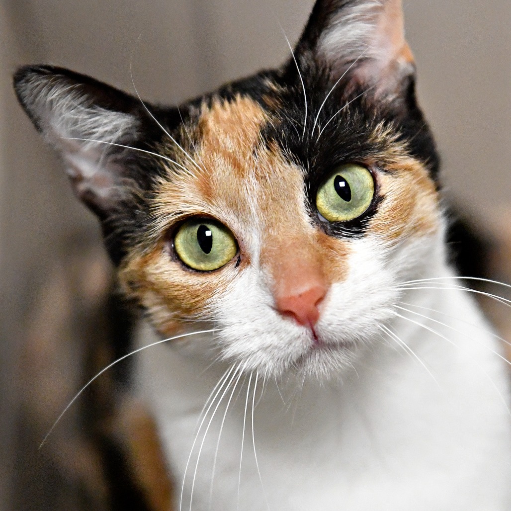 1b6c28a562a35c1b79b6111dd0d51769