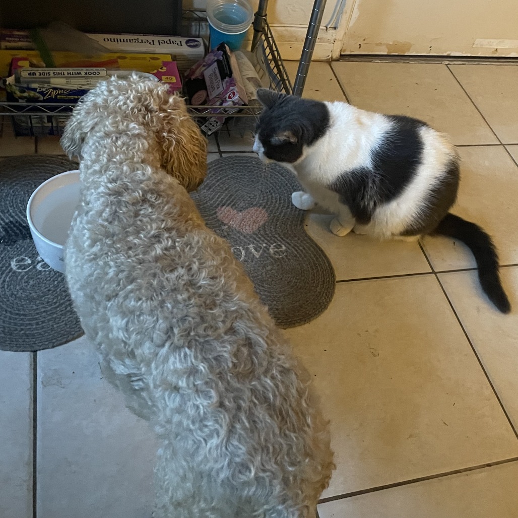 Coffee Jane, photo 7