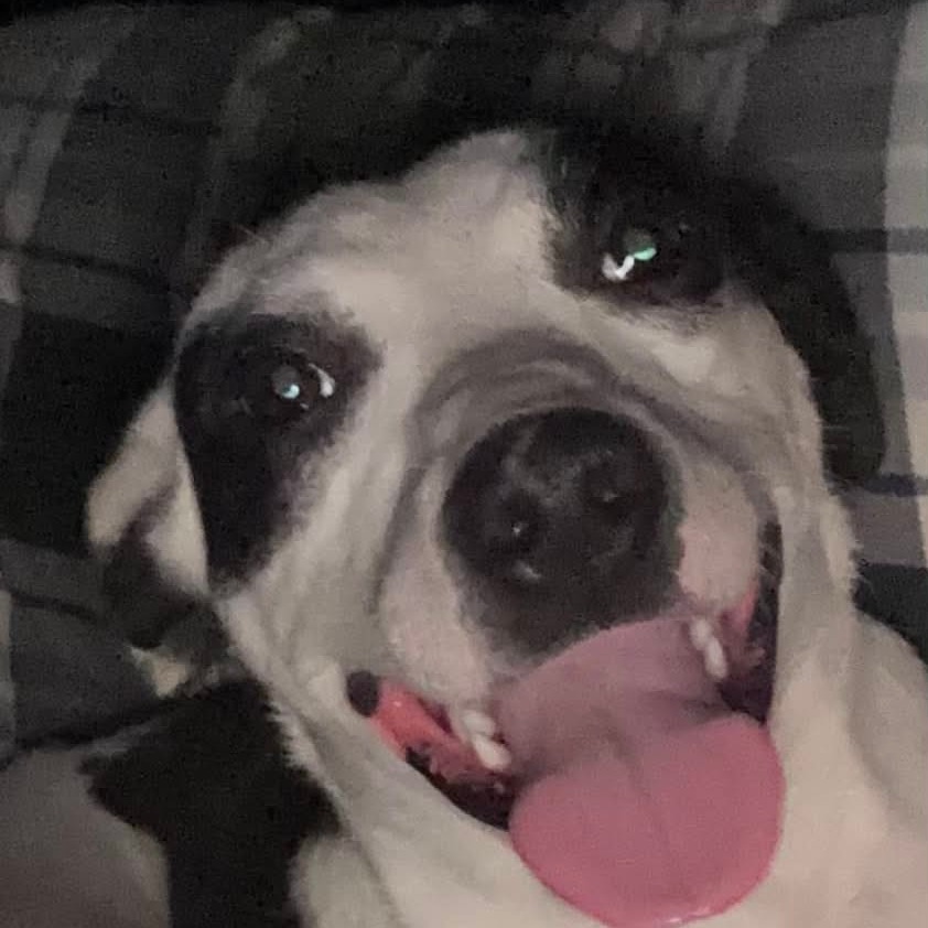 Firefly